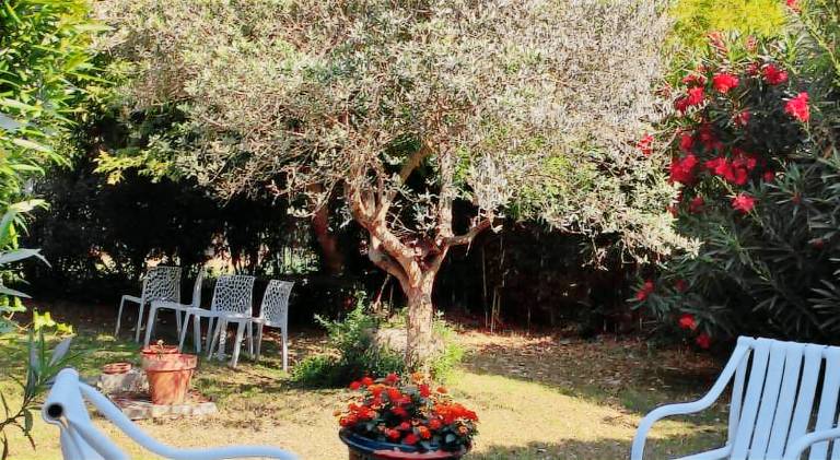 Apartment with patio & yard in Arles