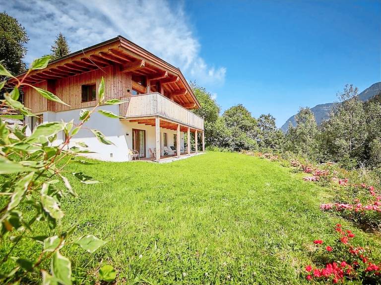 Hütte  Viehhofen