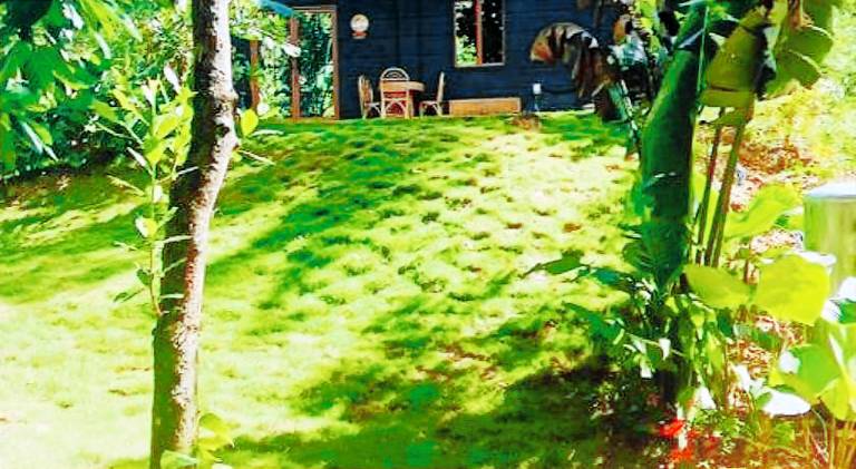 House with yard — photo 4