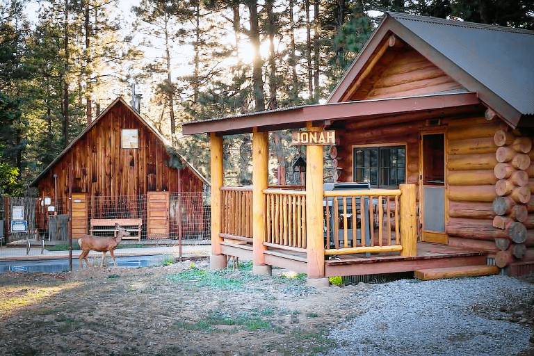 Lodge  Los Ojos