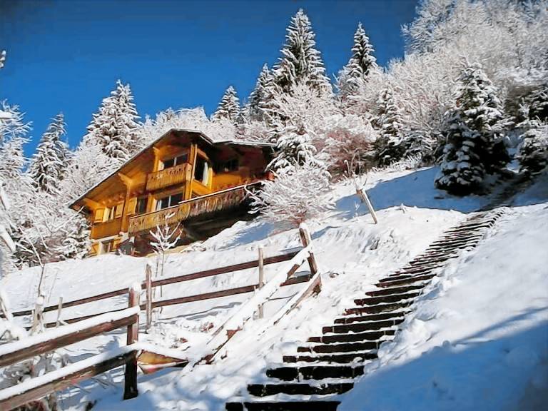 Chalet Châtel