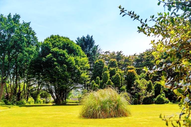 Child-friendly beautiful villa with barbecue, patio & garden | Panoramic view | Dogs allowed — photo 3