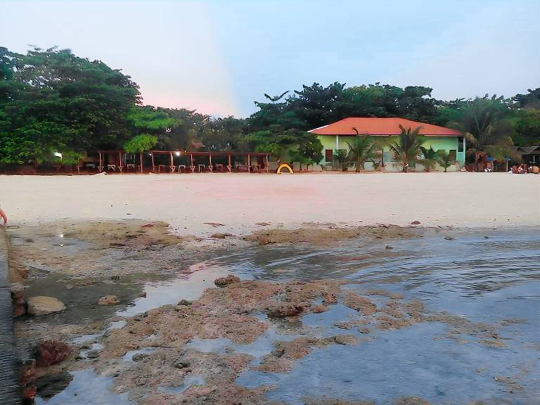 Magic's Place Beach Resort in Moalboal