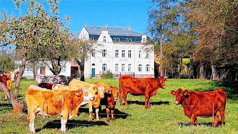Ferienwohnung Lehde