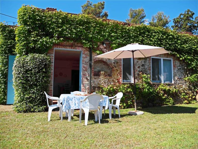 Rental apartment with patio, yard & pool — photo 5