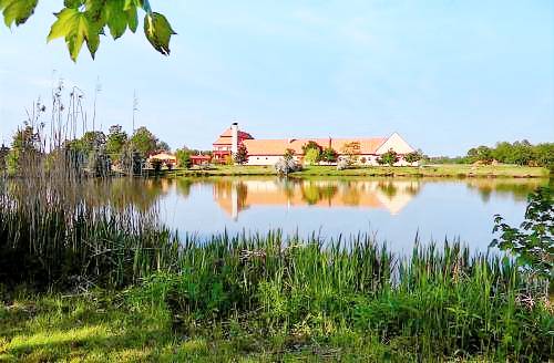 servisovaný byt Borovany