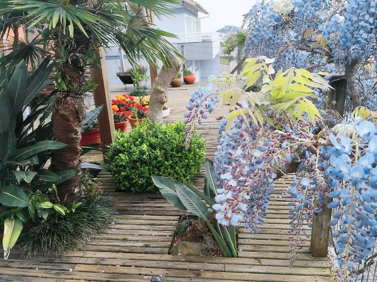 Apartamento Santa Helena