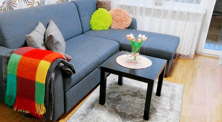 Rental apartment with 1 room for 4 persons in Druskininkai