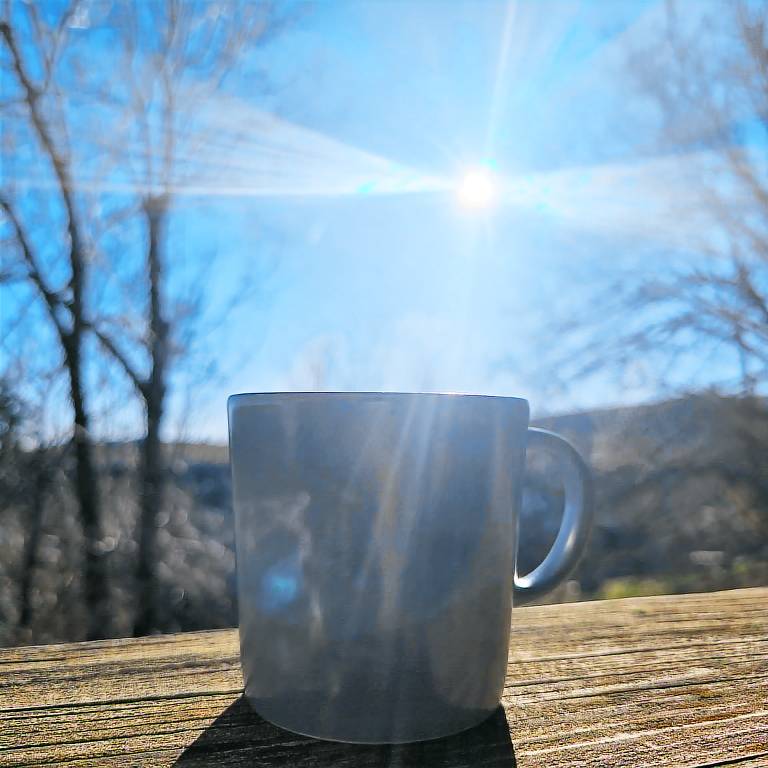 Chalet Besse-et-Saint-Anastaise