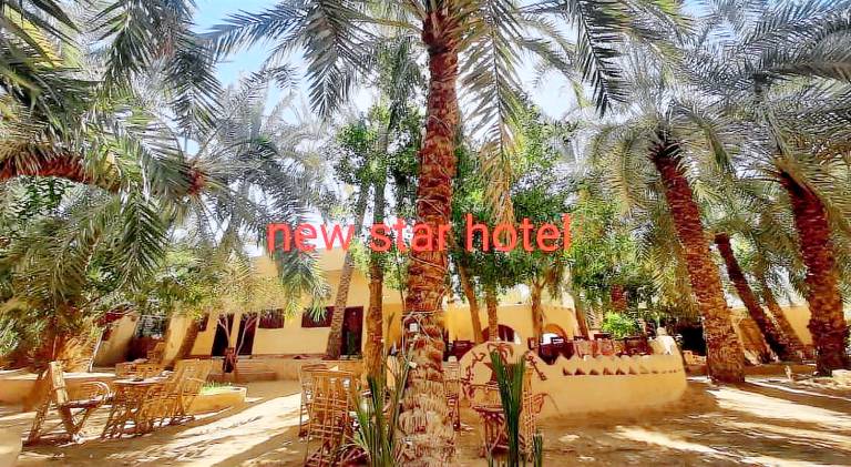 New star hotel — photo 4