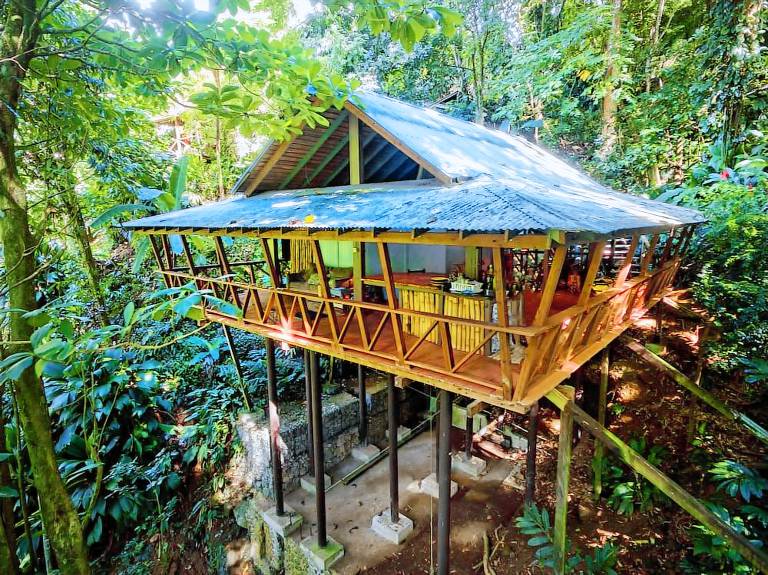 Logement Fond Cani
