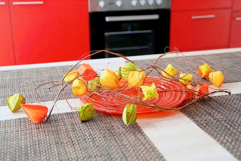 Ferienwohnung Biebrich