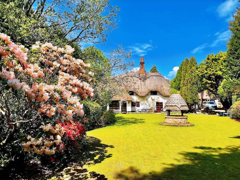 Cottage Woodlands