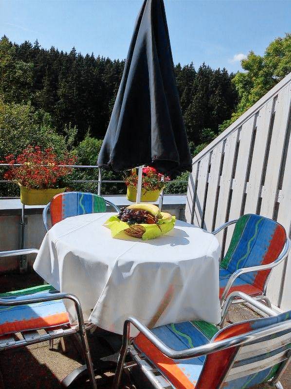 Child-friendly holiday apartment with terrace | Pet-friendly — photo 3