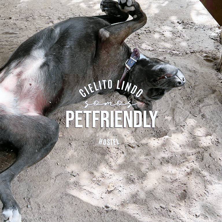 Cielito Lindo Hostel — photo 5