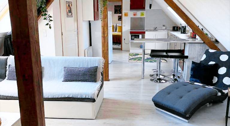 Rental apartment | Pets are welcome in Strasbourg
