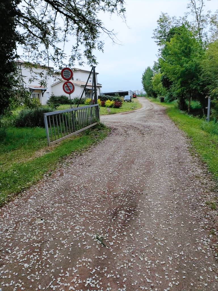 Maison de vacances Pujols