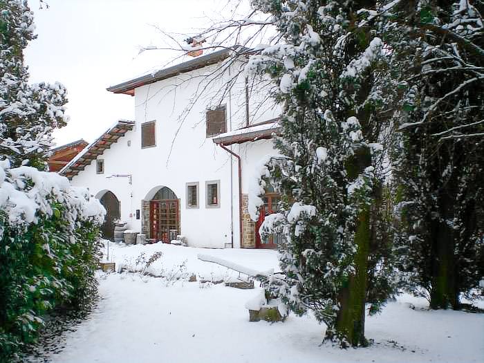 Giorgio Colutta: Verduzzo — photo 3