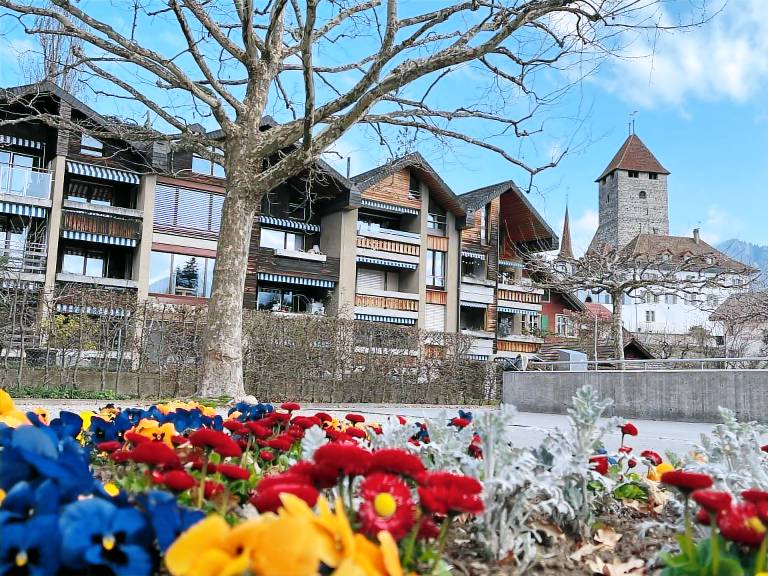 Appartement Meer van Thun