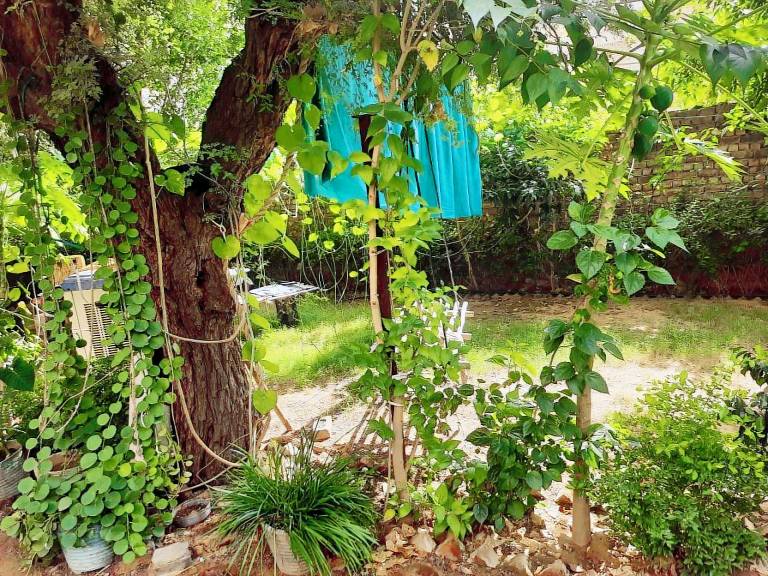Villa with garden & pool | Dogs allowed in Bikaner