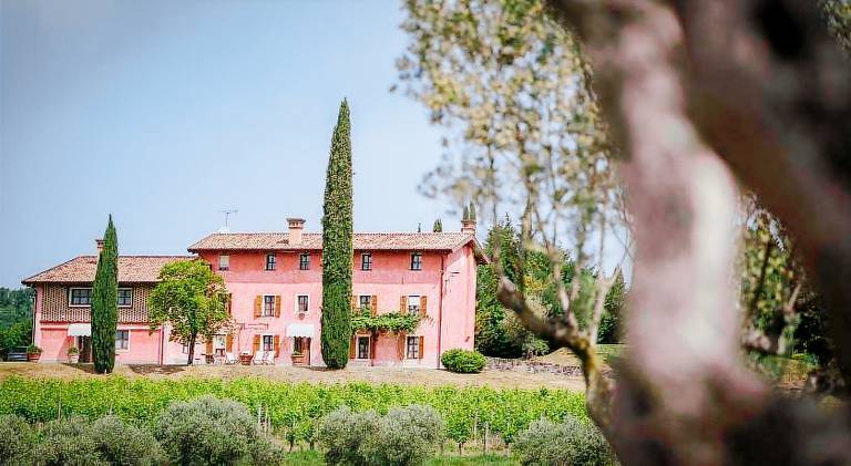 Apartment with 1 room for 2 persons in Capriva del Friuli
