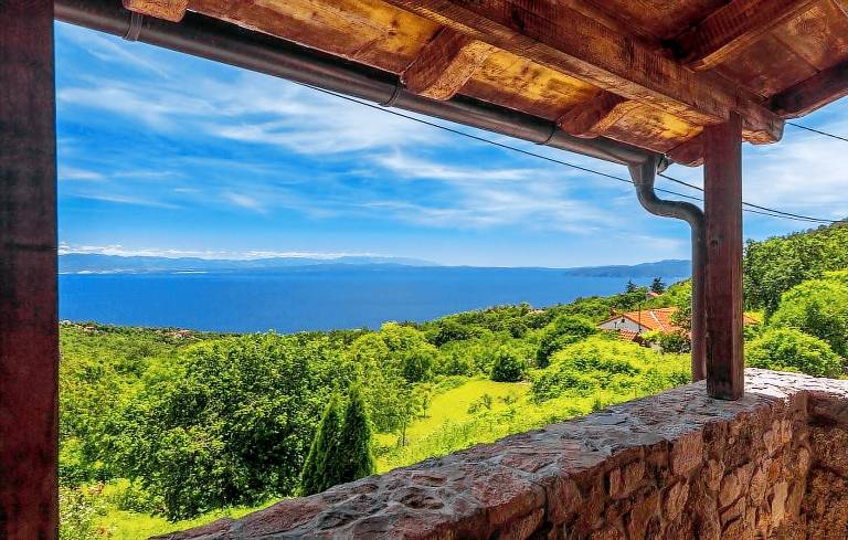Ample villa with grill, garden & private pool | Pets are welcome — photo 2