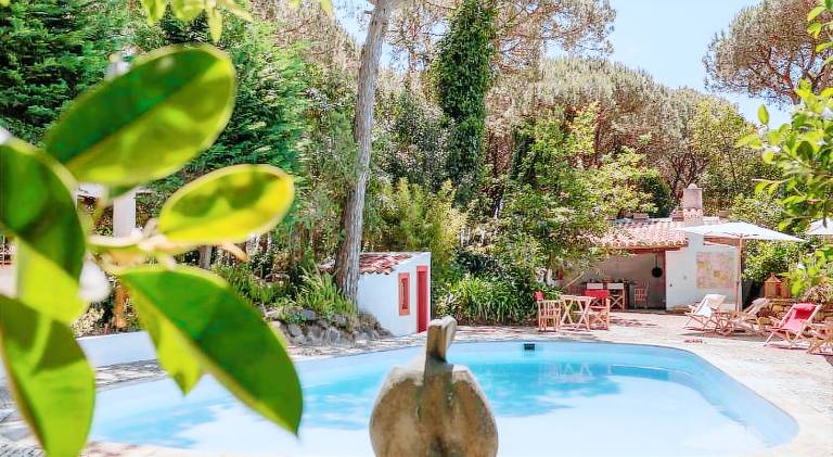 Big chalet with pool | Dogs allowed — photo 3