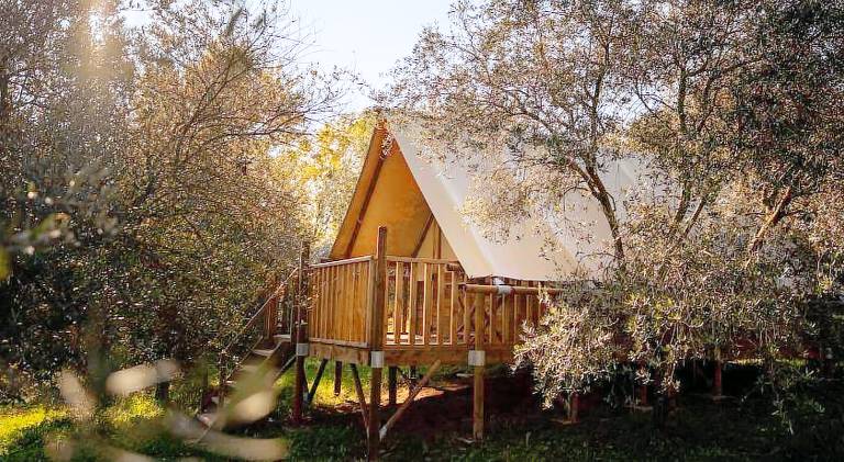 Glamping Il Bosco di Marino in San Pietro di Feletto