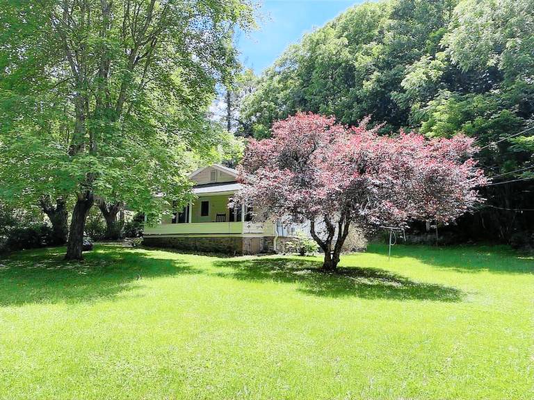 House Waynesville