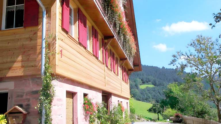 Ferienwohnung Oberwolfach
