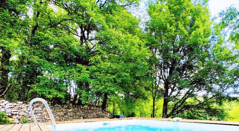 House with pool & jacuzzi | Pets are welcome — photo 5