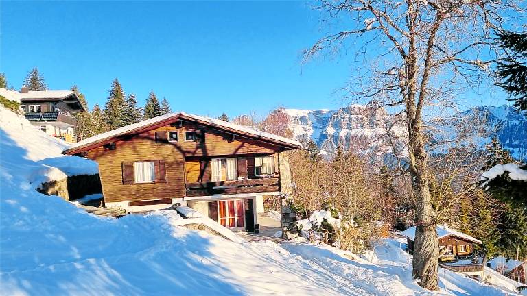 Chalet Bad Ragaz