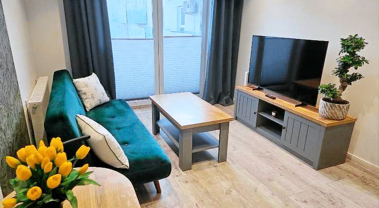 Rental apartment | Dogs allowed in Katowice