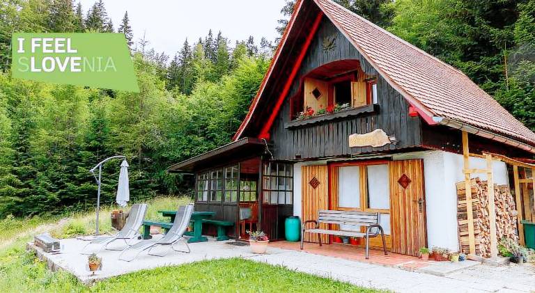 Nice vacation home | Pet-friendly — photo 4