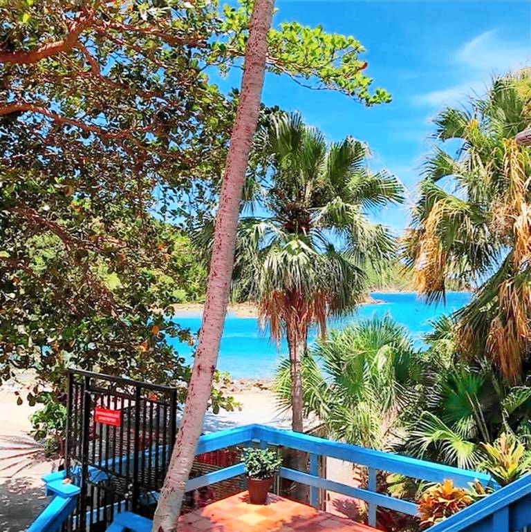 Olga s Fancy in St. Thomas