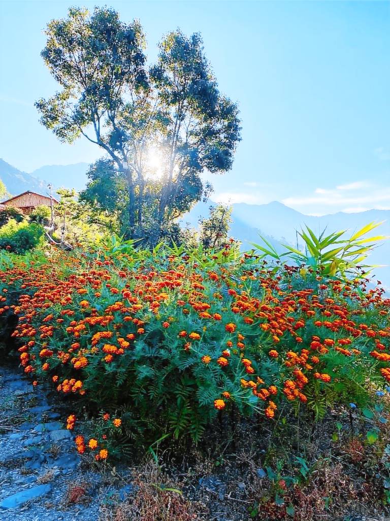 Nice vacation home with garden | Good for workation | Pets are welcome — photo 3