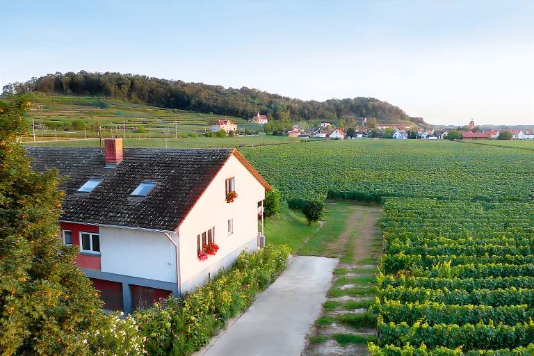 Ferienwohnung Oberrotweil