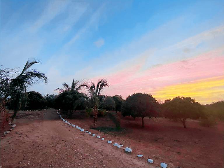 Coccoloba Beach Hostel — photo 5