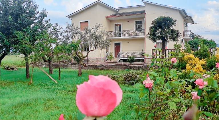 Wonderful rental apartment with yard | Pets allowed in Frosinone