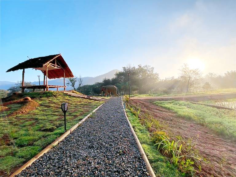 Bungalow with barbeque & garden — photo 5