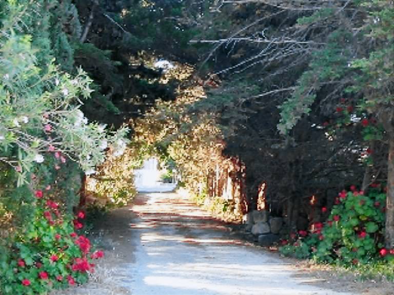 Appartamento Favignana