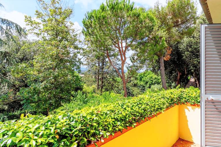 Appartamento  Fauglia
