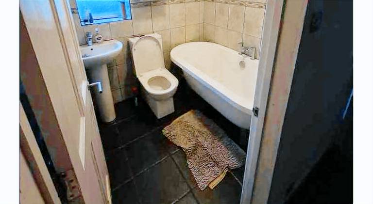 Quiet and professional friendly — photo 4