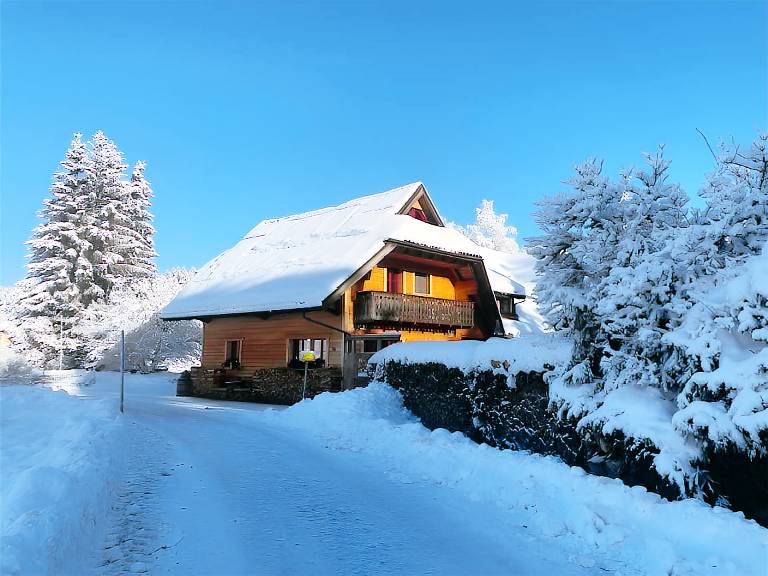 Spacious Apartment “Am Hirschenmoor” in Nature with Private Terrace and Garden — photo 2