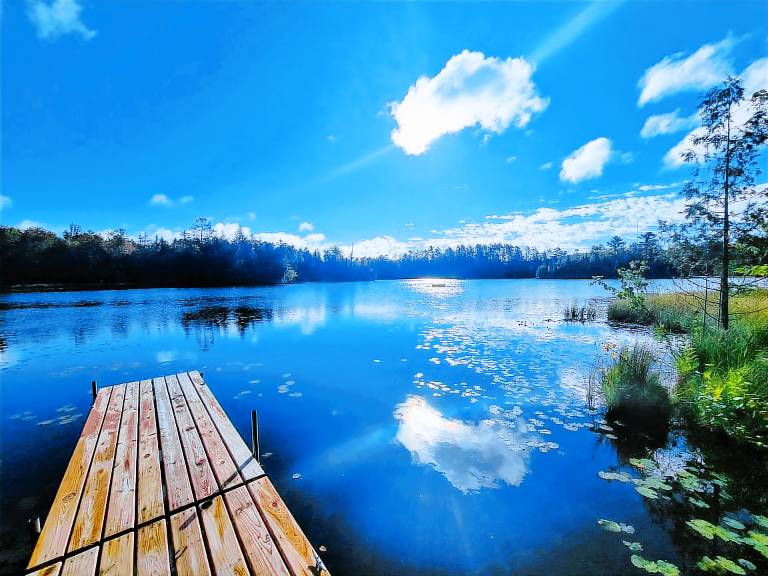 Cabin Lakewood