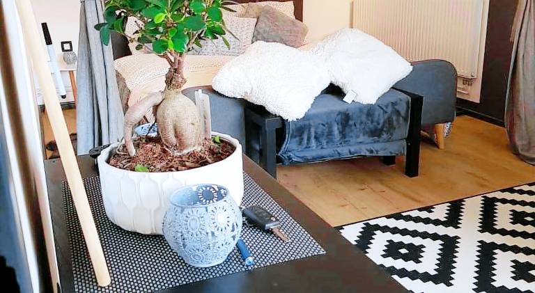 Beautiful apartment | Dogs allowed — photo 2
