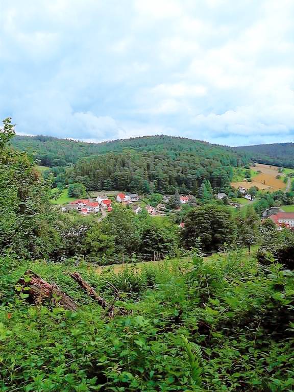 Ferienwohnung Wald-Michelbach