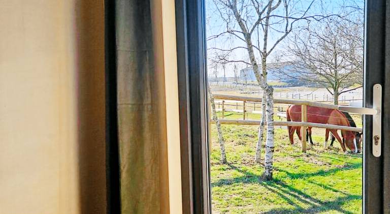 Chalet | Pet-friendly — photo 5