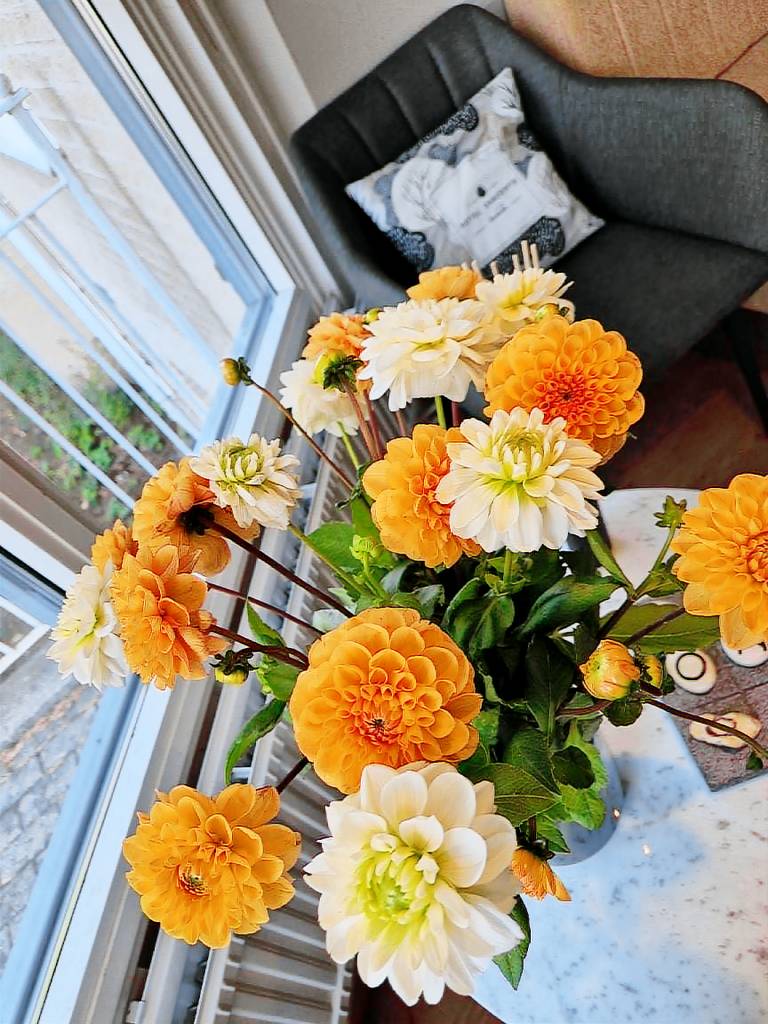 Best Western Hotel Danderyd — photo 2