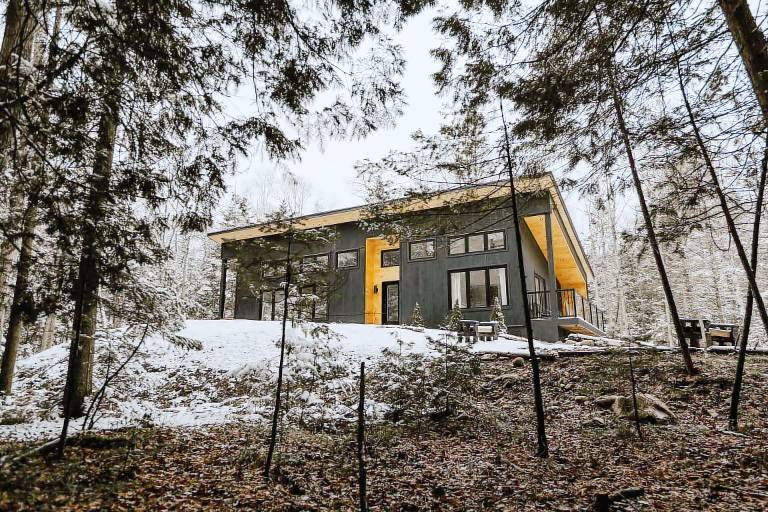 Cabin  Lion's Head